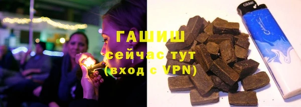 молекула духа Пересвет