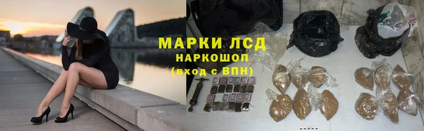 молекула духа Пересвет