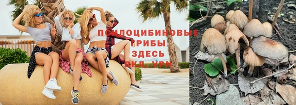 таблы Болотное