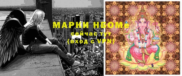 прущие грибы Болхов