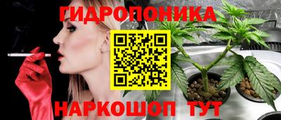гашиш Обь