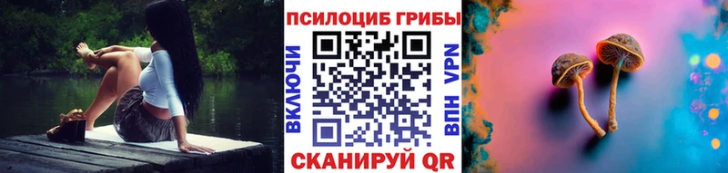 Галлюциногенные грибы Psilocybine cubensis  Старая Купавна 